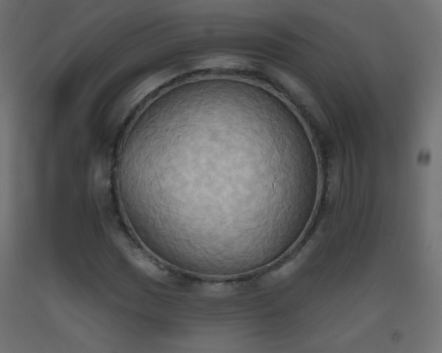 X0000093521017200710121540
