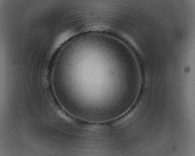 X0000093521018200710121540