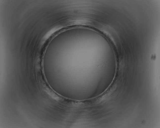 X0000093521019200710121540
