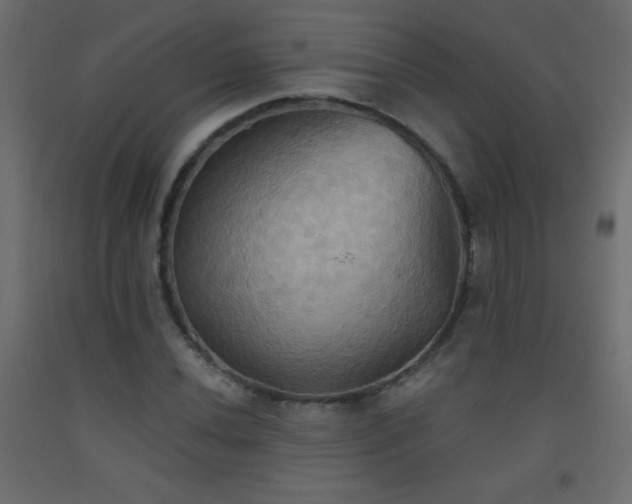 X0000093521020200710121540