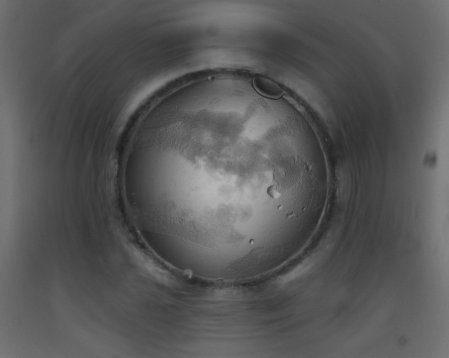 X0000093521021200710121540