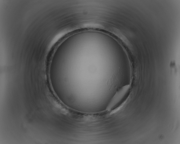 X0000093521022200710121540