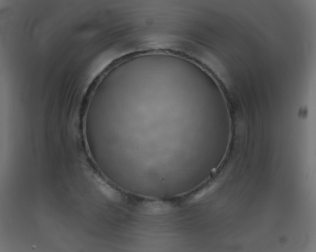 X0000093521023200710121540