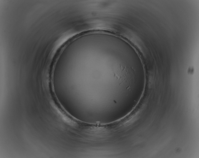 X0000093521024200710121540
