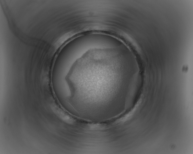 X0000093521025200710121541