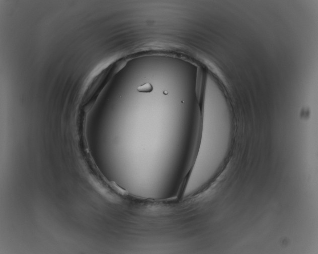 X0000093521026200710121541