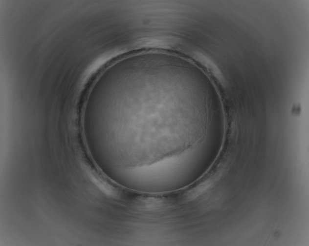 X0000093521027200710121541