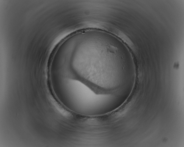 X0000093521028200710121541