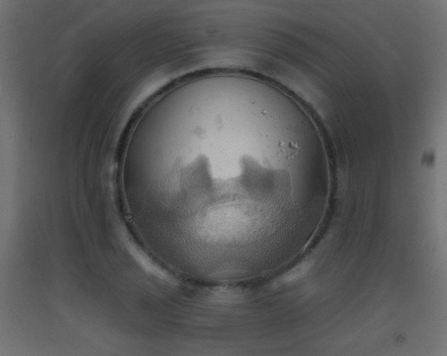 X0000093521029200710121541