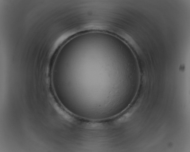 X0000093521030200710121541