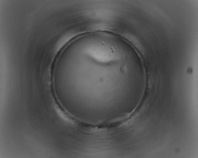 X0000093521031200710121541