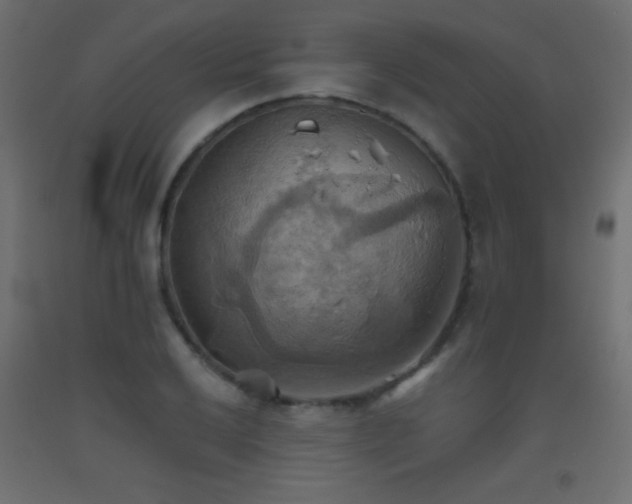 X0000093521032200710121541