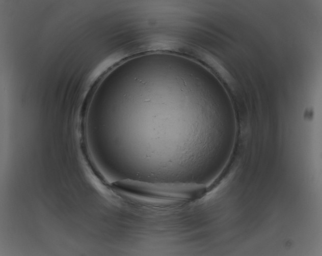 X0000093521034200710121541
