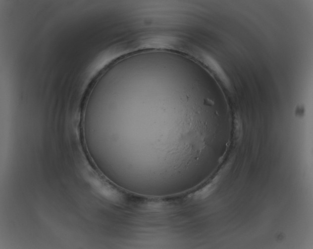 X0000093521035200710121541