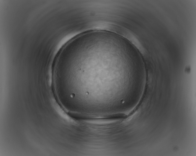 X0000093521036200710121541