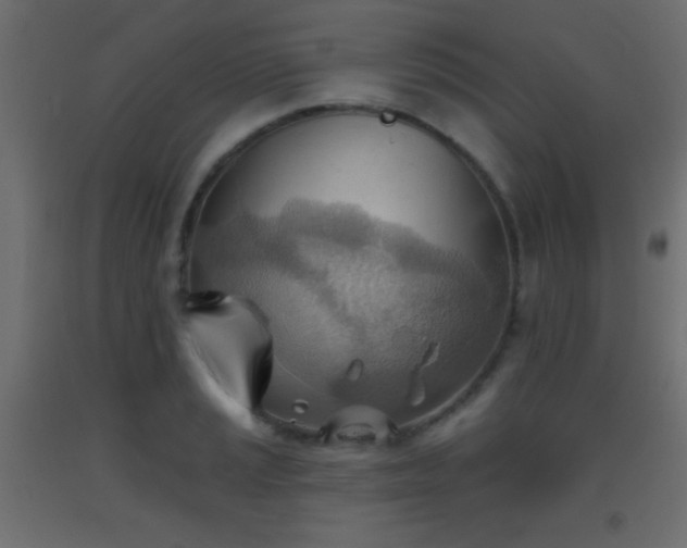 X0000093521037200710121541