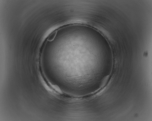 X0000093521038200710121541