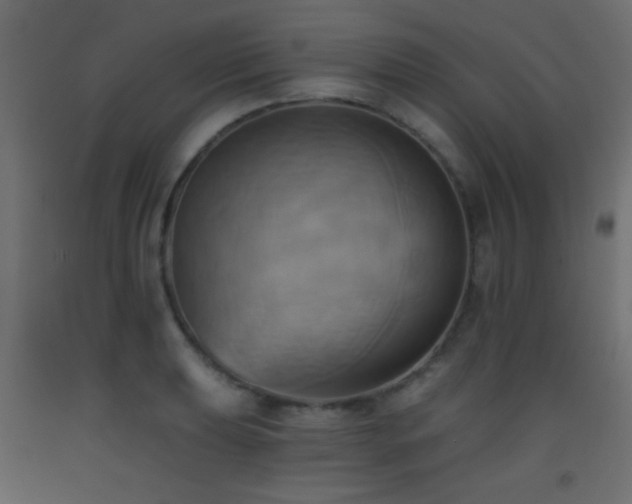X0000093521039200710121541