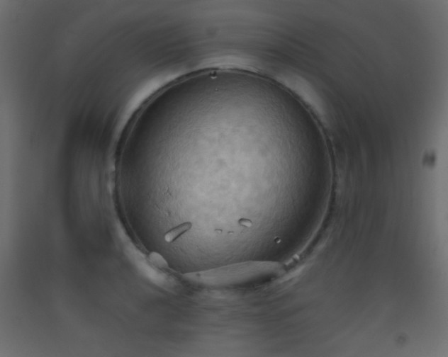 X0000093521040200710121541