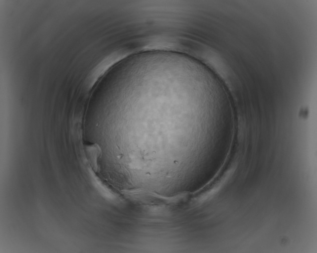 X0000093521041200710121541