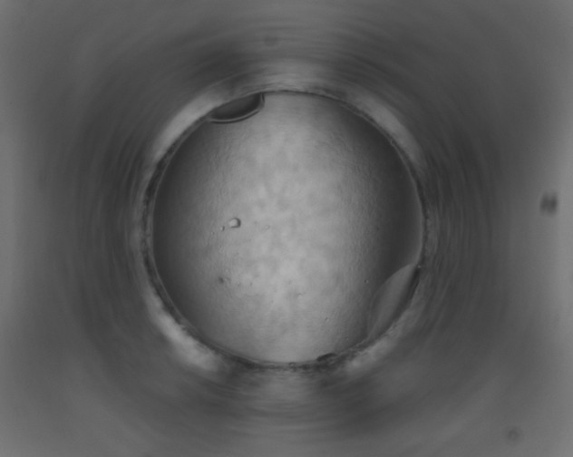 X0000093521042200710121541