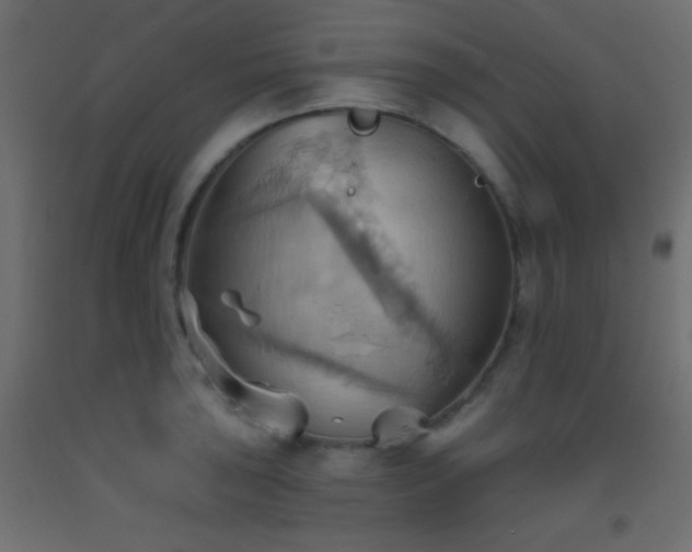 X0000093521043200710121541