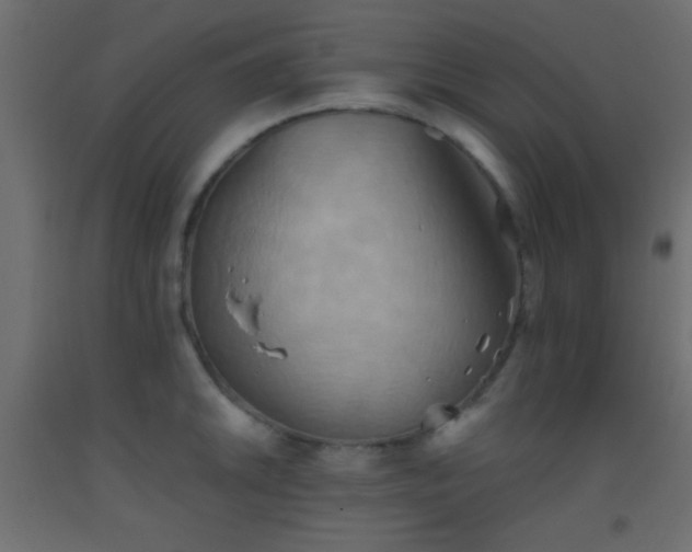 X0000093521046200710121541
