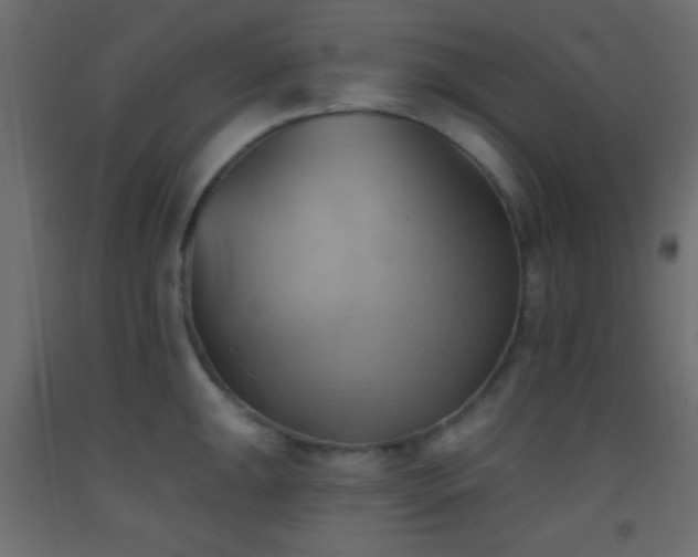 X0000093521047200710121541