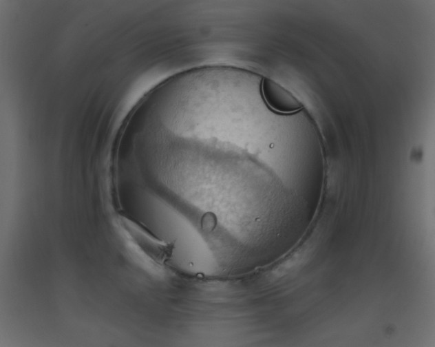 X0000093521048200710121541