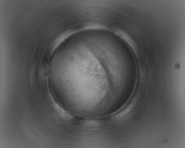 X0000093521049200710121541