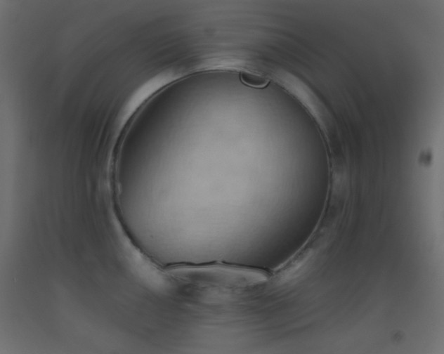 X0000093521050200710121541