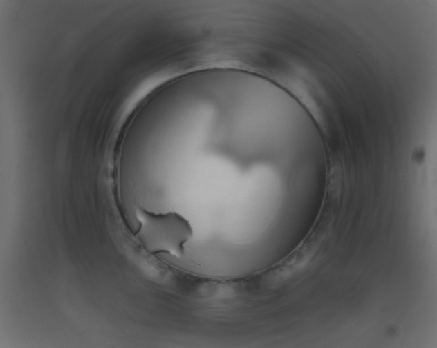 X0000093521051200710121541