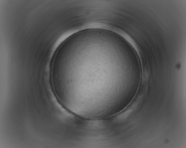 X0000093521053200710121541