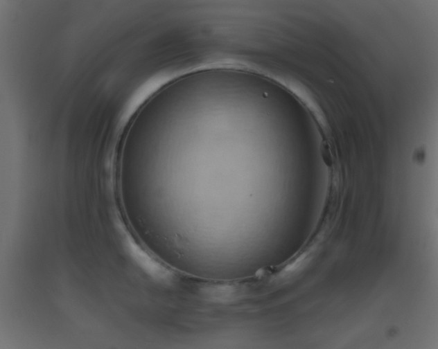 X0000093521054200710121541