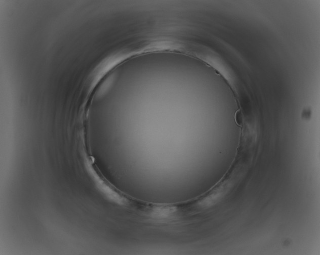 X0000093521055200710121541