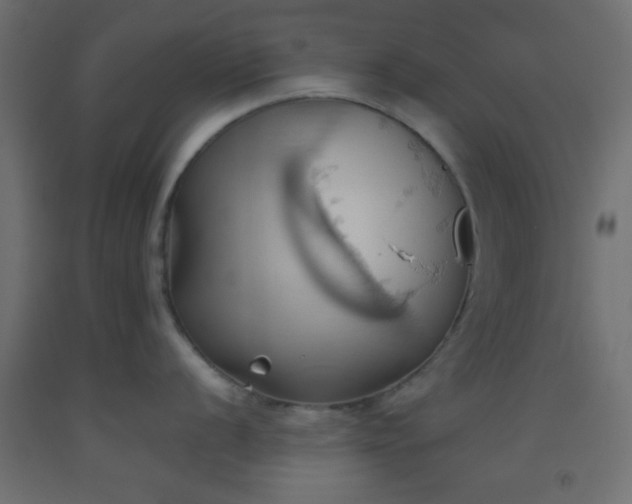 X0000093521056200710121541