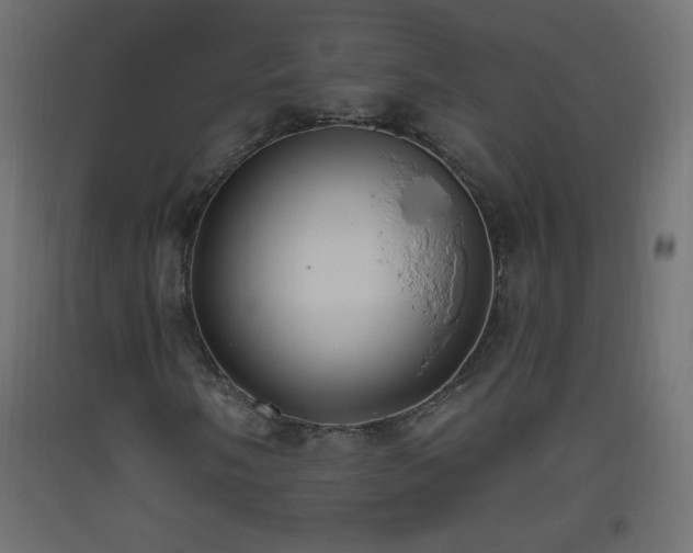 X0000093521058200710121540