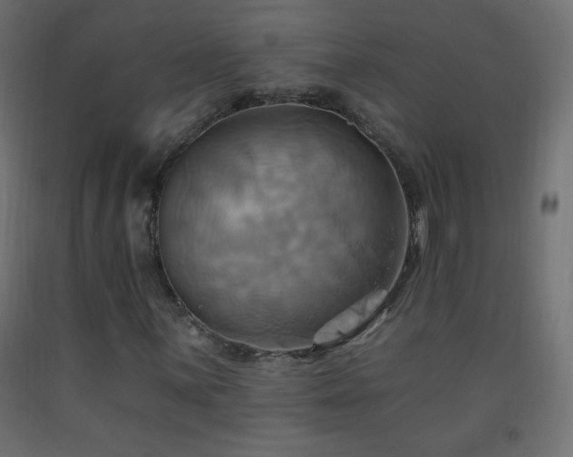X0000093521059200710121540
