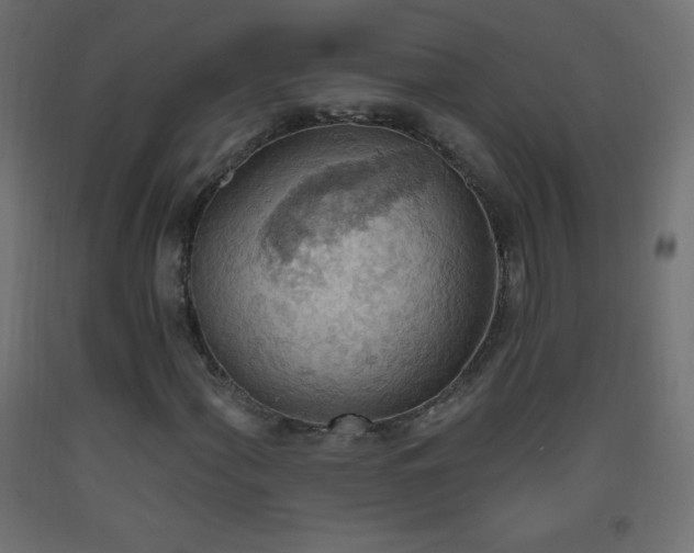 X0000093521060200710121540