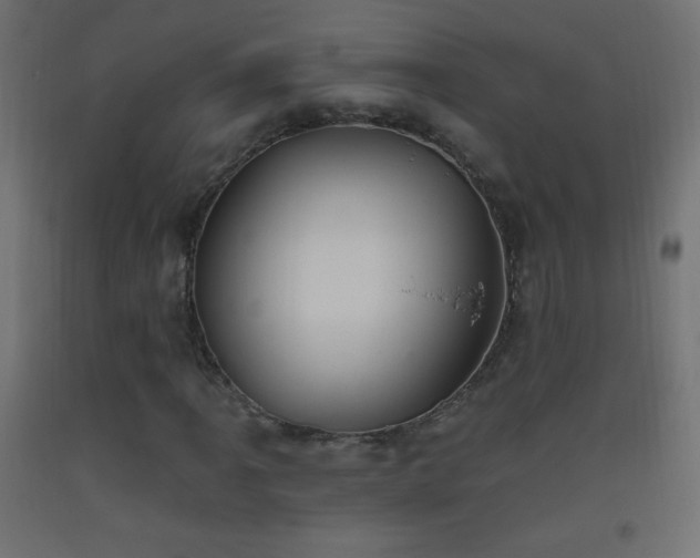 X0000093521061200710121540