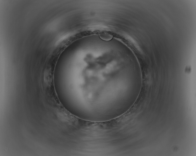 X0000093521063200710121540