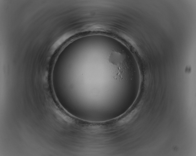 X0000093521066200710121540