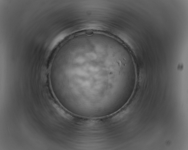 X0000093521067200710121540