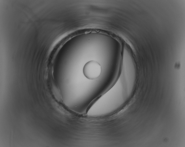 X0000093521069200710121540