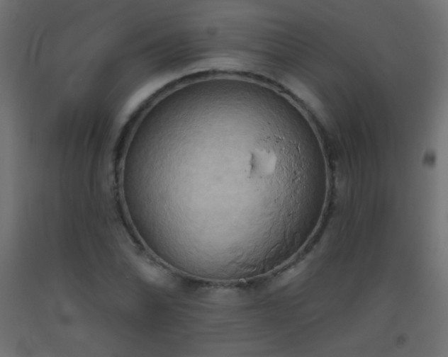 X0000093521070200710121540