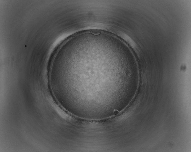 X0000093521072200710121540