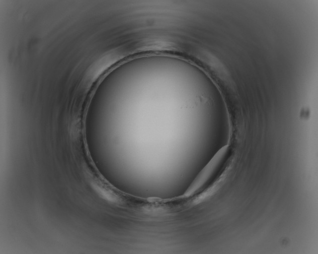 X0000093521073200710121540