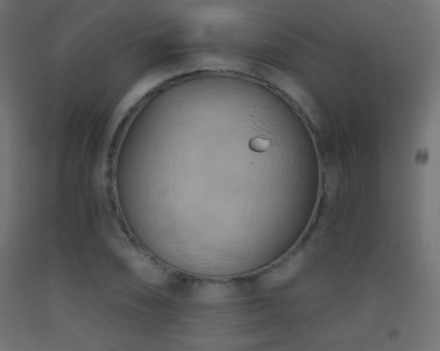 X0000093521074200710121540