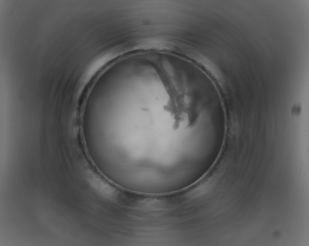 X0000093521075200710121540
