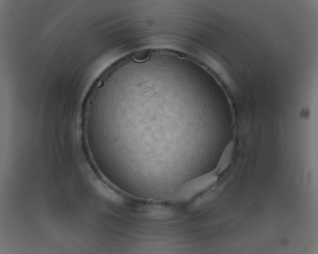 X0000093521076200710121540